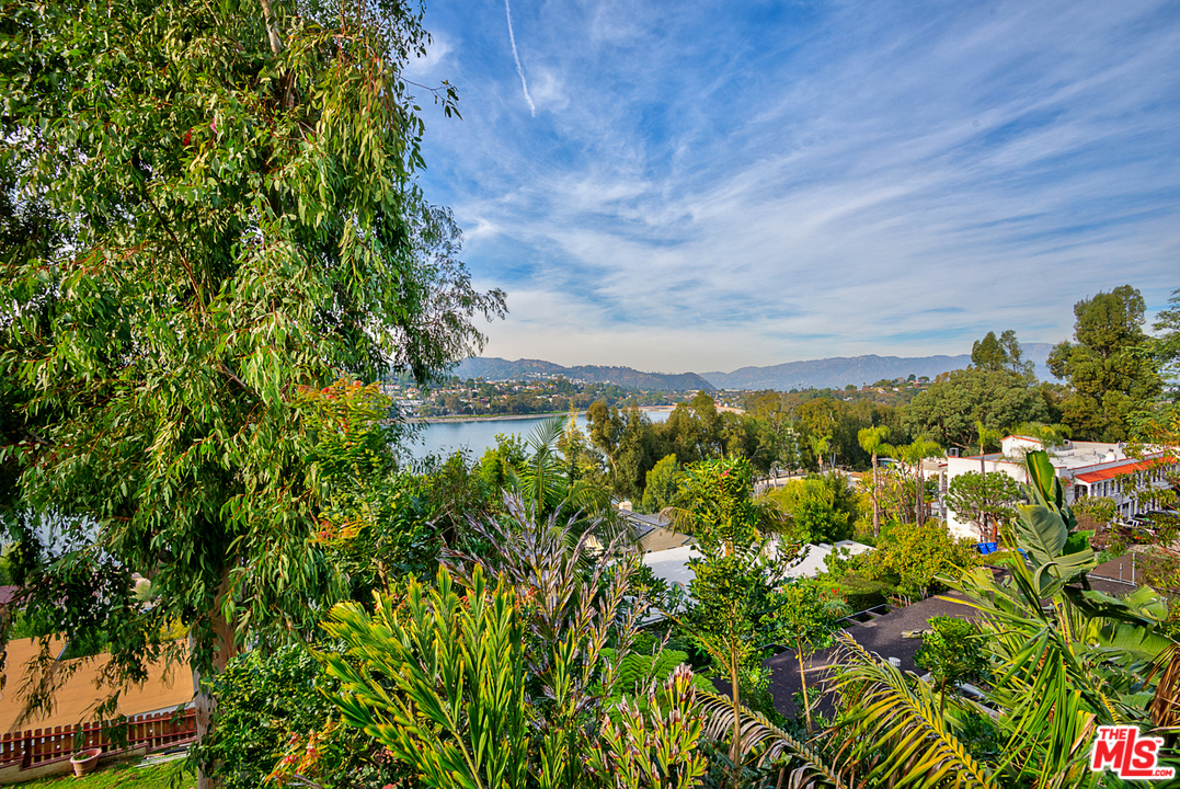 2337 Baxter Street Los Angeles, CA 90039 - Photo 3 of 16 a view of a yard