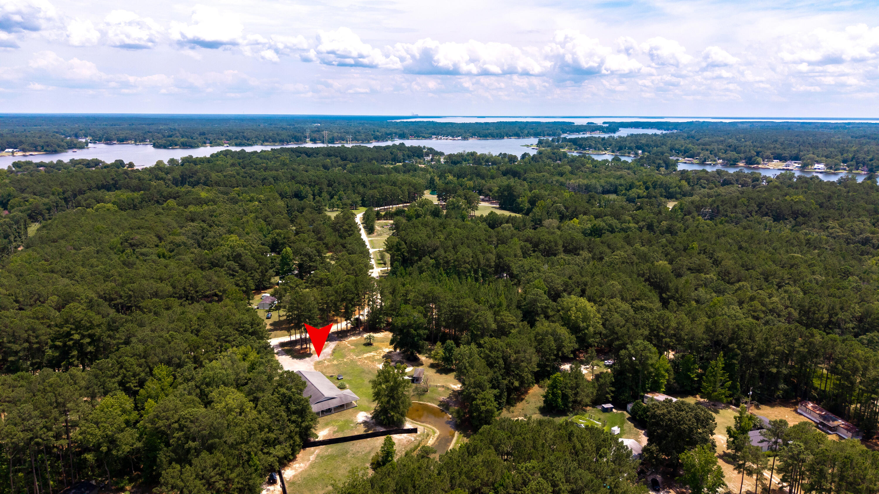 1090 Winding Pond Road Manning, SC 29102 - Photo 55 of 59 LAKE MARION IN BACKGROUND