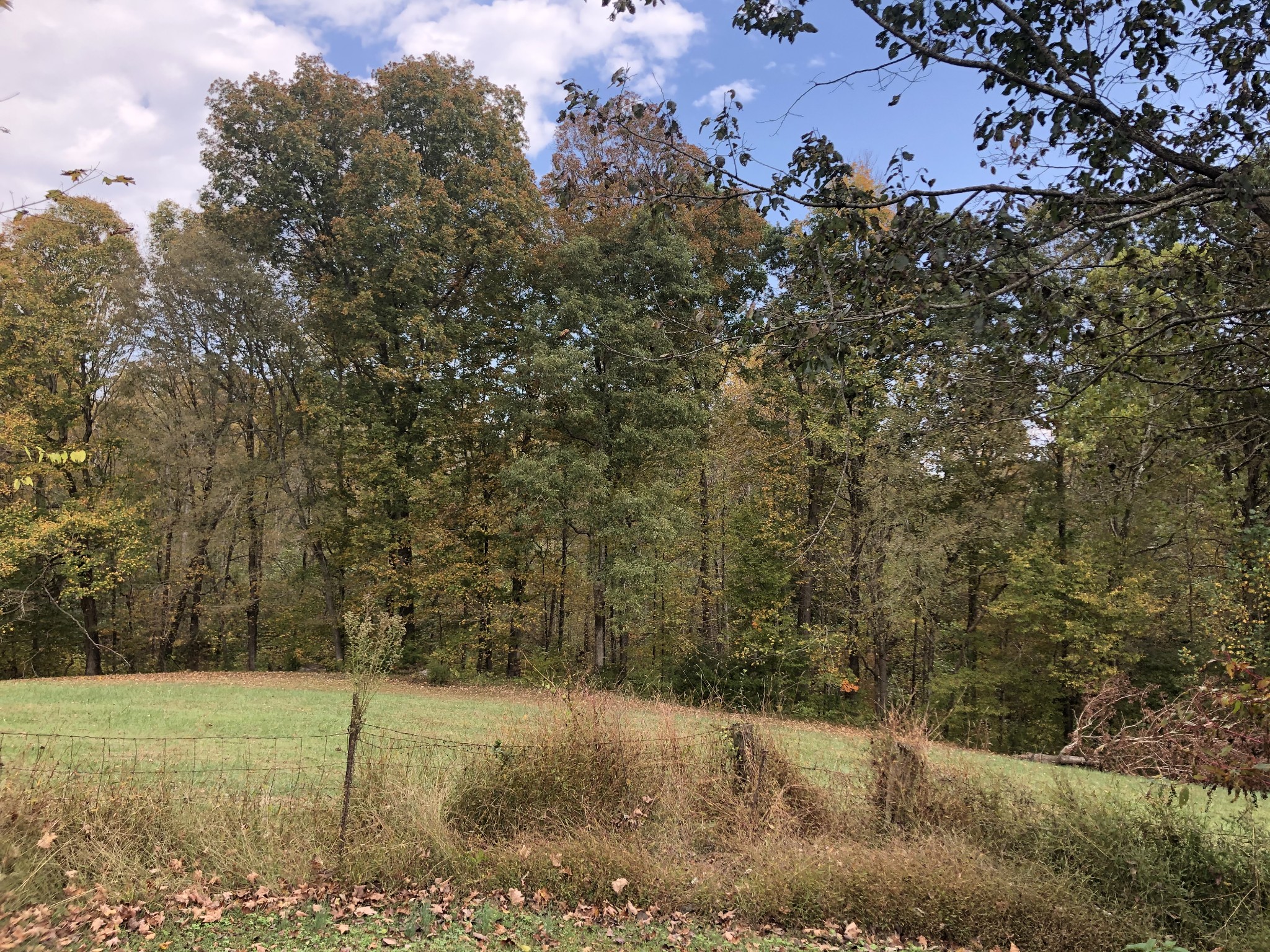 2763 Lights Chapel Road Greenbrier, TN 37073 - Photo 26 of 38 Gallery Image 26