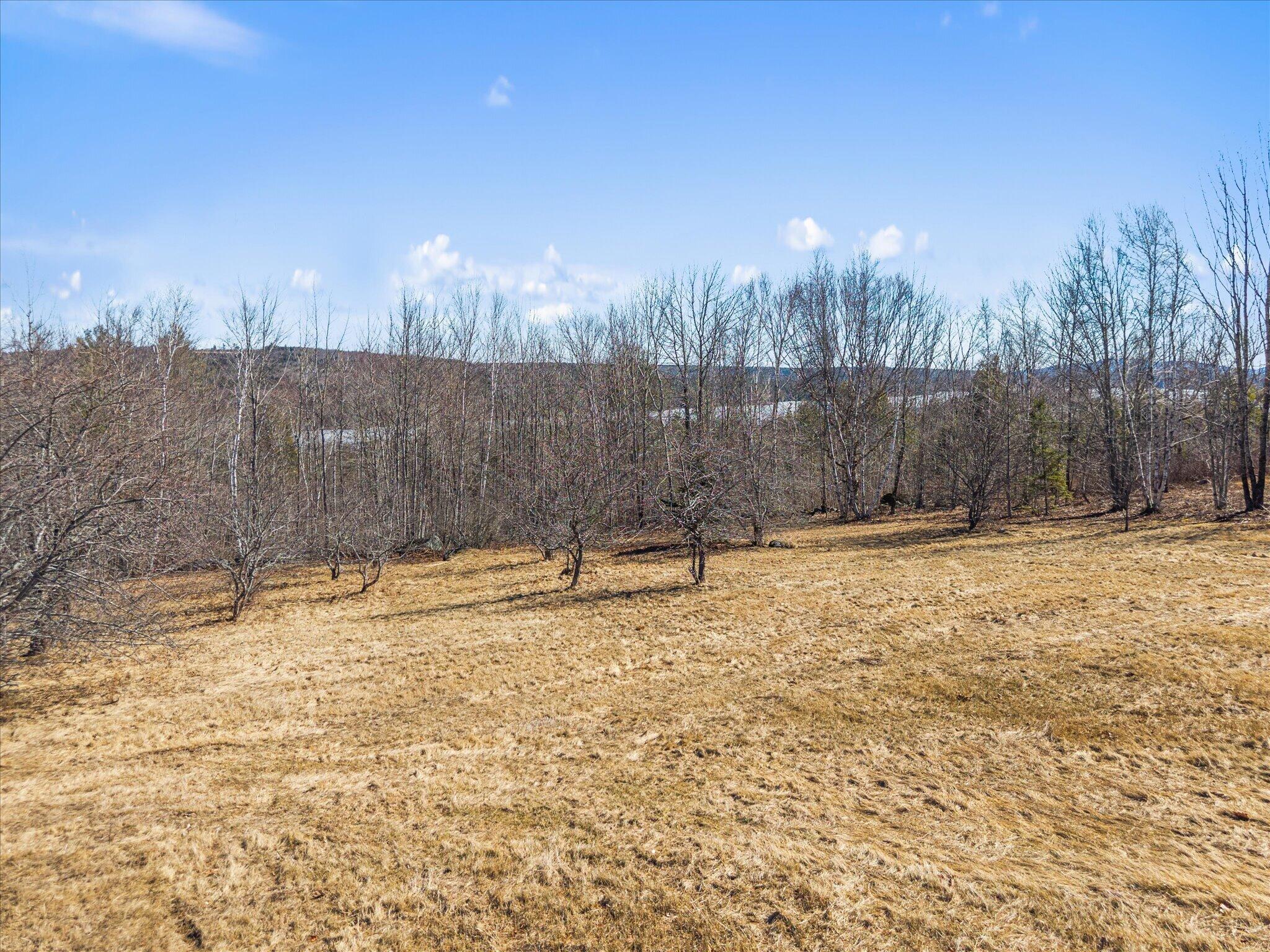 0 Sugar Hill Road Eastbrook, ME 04634 - Photo 10 of 36 14-Sugar Hill Rd