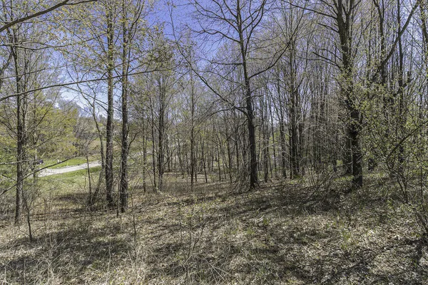 $21,900 | Lot 16 Campbell Lake Drive, Parma, MI 49269