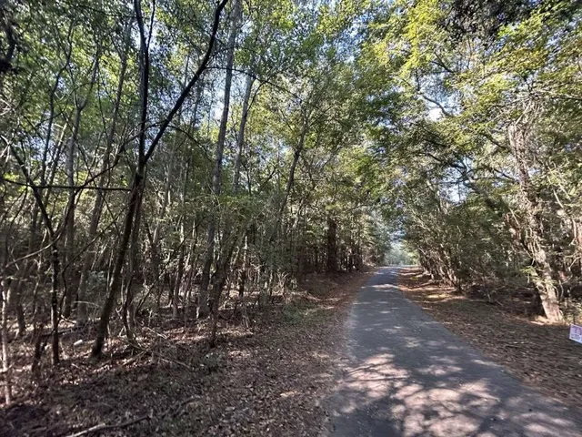 a view of outdoor space with trees