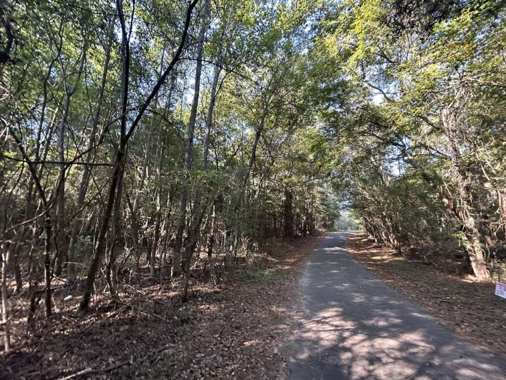 1229 Spraglin Road Daingerfield, TX 75638 - Photo 2 of 2 a view of outdoor space with trees