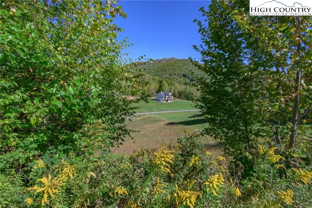 a view of a yard with plants and a tree