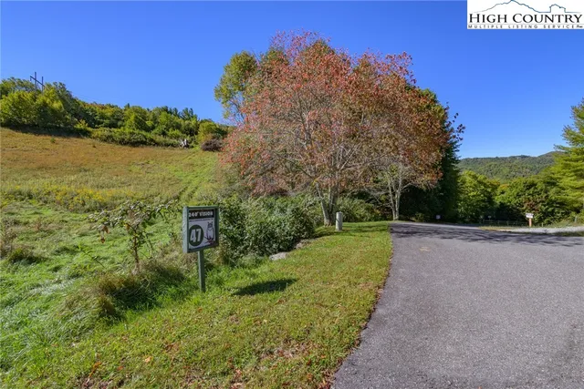 a view of a garden with a building in the background