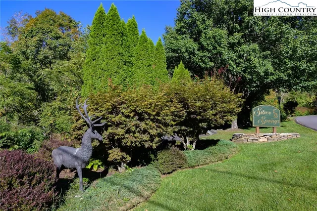 a view of a park with large trees