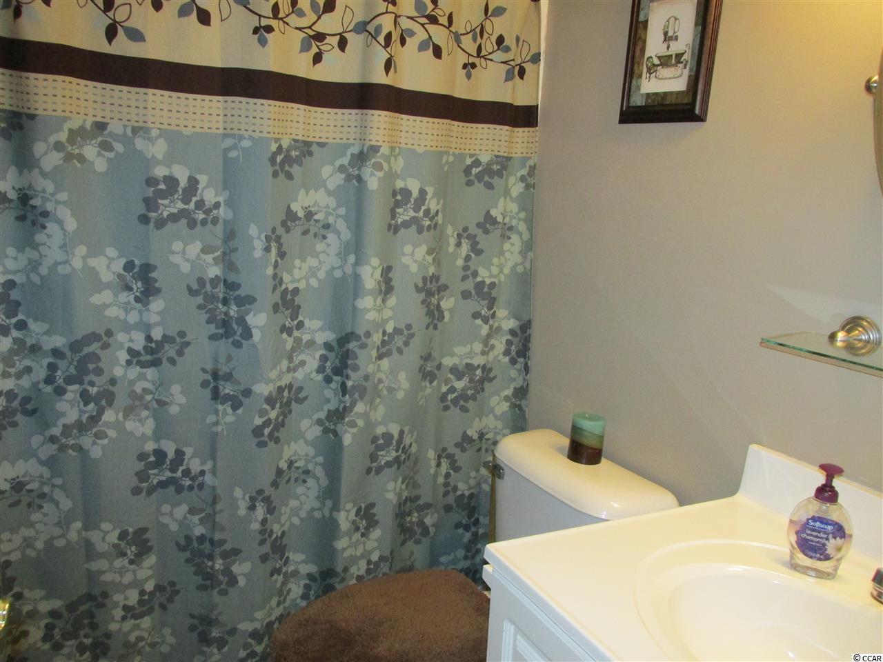 311 Rice Mill Drive Myrtle Beach, SC 29588 - Photo 10 of 17 Gallery Image 10