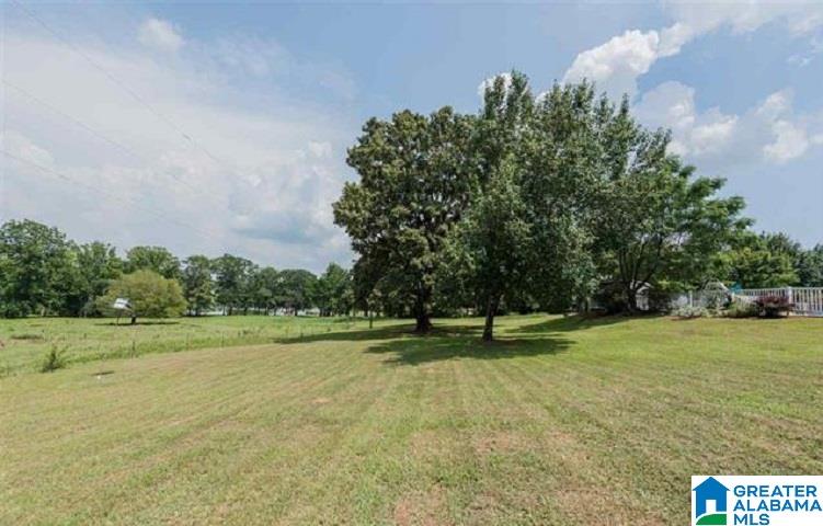 8200 South Main Street Wilsonville, AL 35186 - Photo 42 of 49