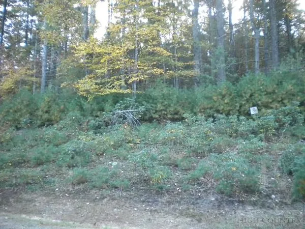 $57,500 | Lot 5 Pine Chase Glade Valley, Glade Valley, NC 28627