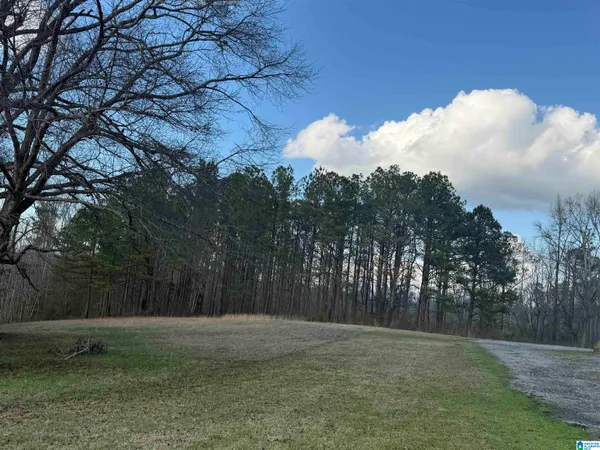 $54,999 | 0 County Road 448, Clanton, AL 35046