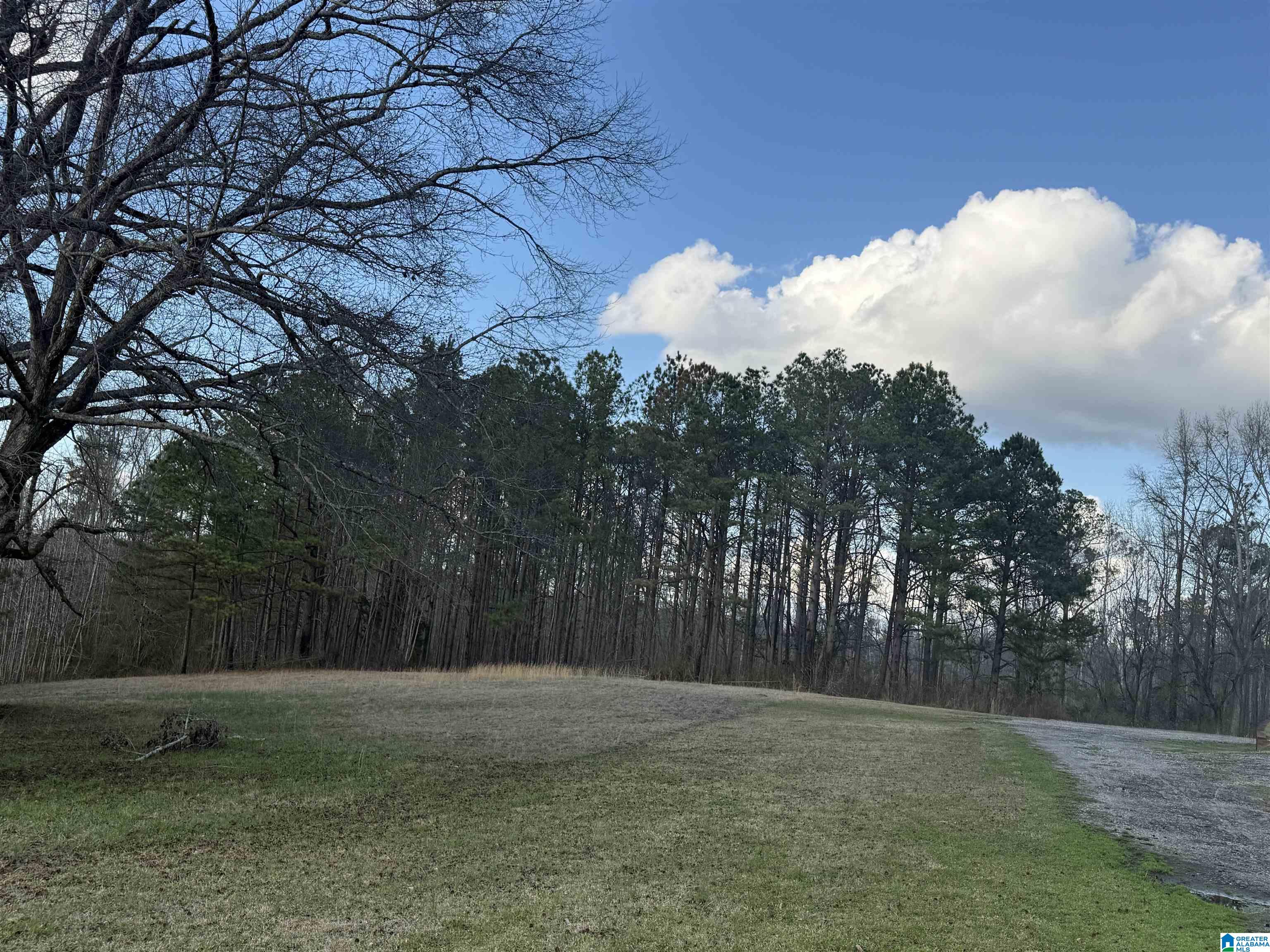 0 County Road 448 Clanton, AL 35046 - Photo 1 of 6