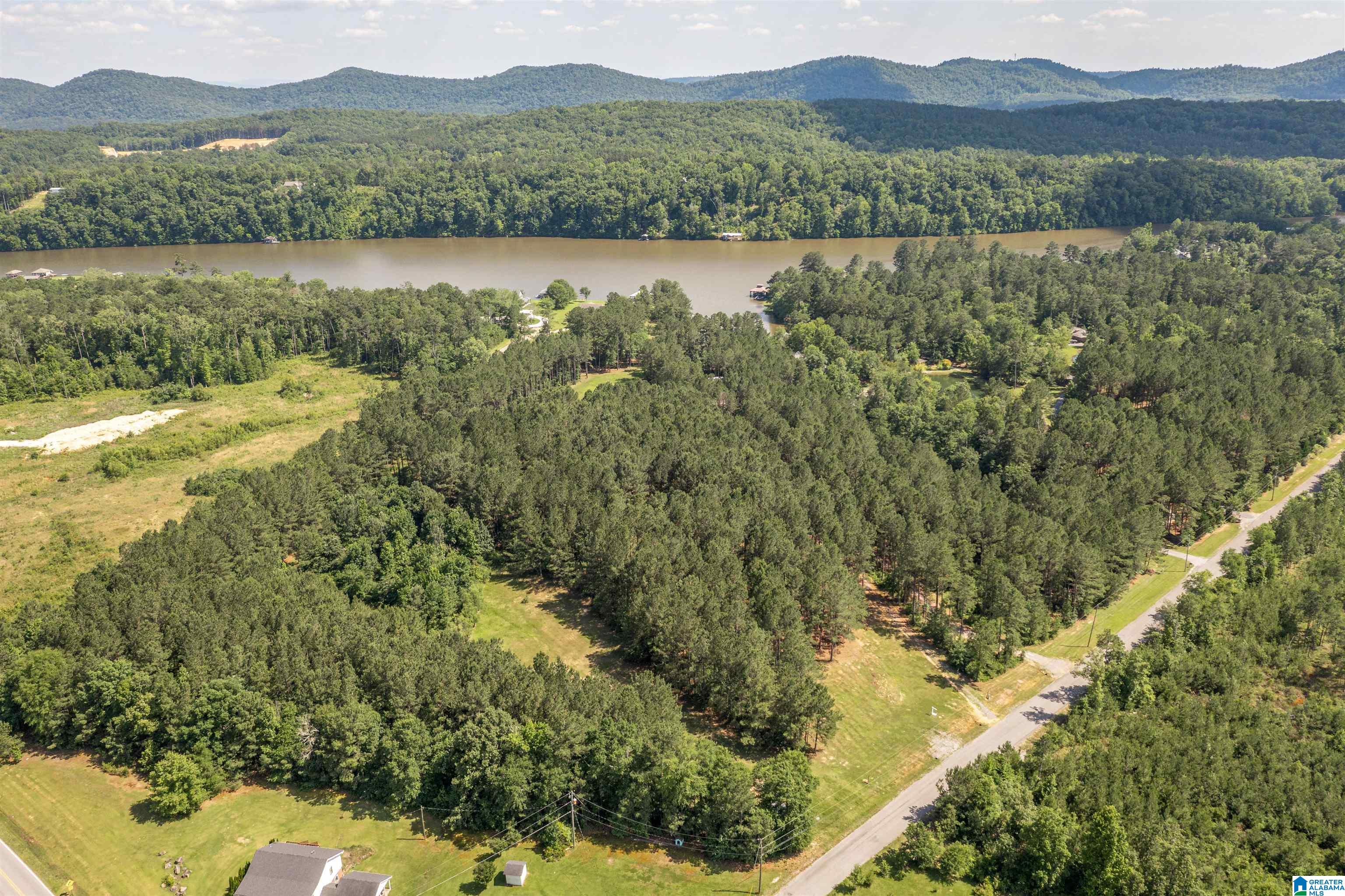 89 Golden Pond Road, Unit 9 Ashville, AL 35953 - Photo 19 of 35
