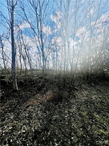 $55,000 | 0 Will New Boulevard, Lenox, NY 13032