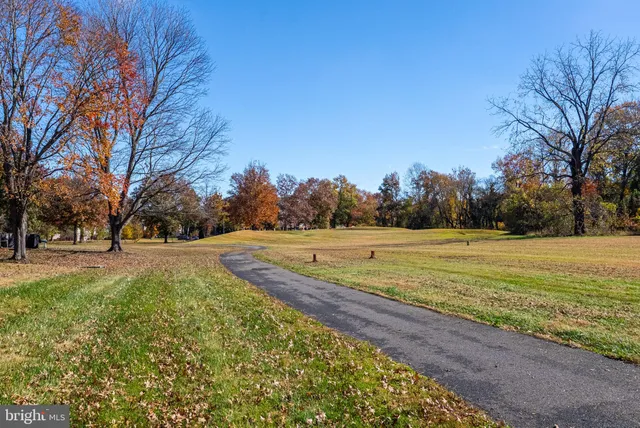 a view of outdoor space with trees all around