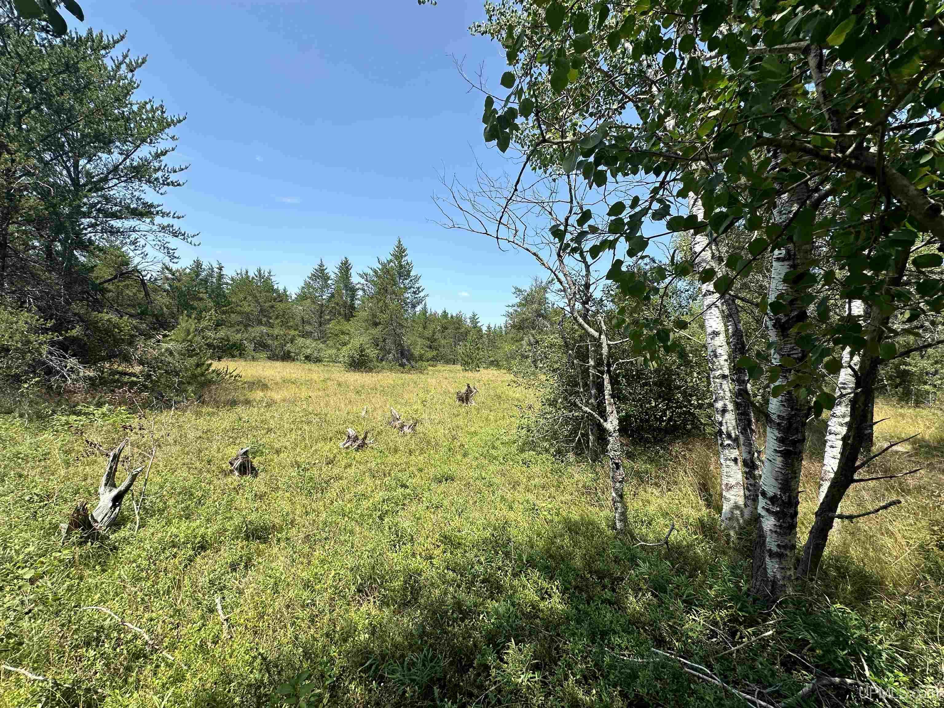 2020-2050 Co Road Little Lake, MI 49833 - Photo 11 of 39
