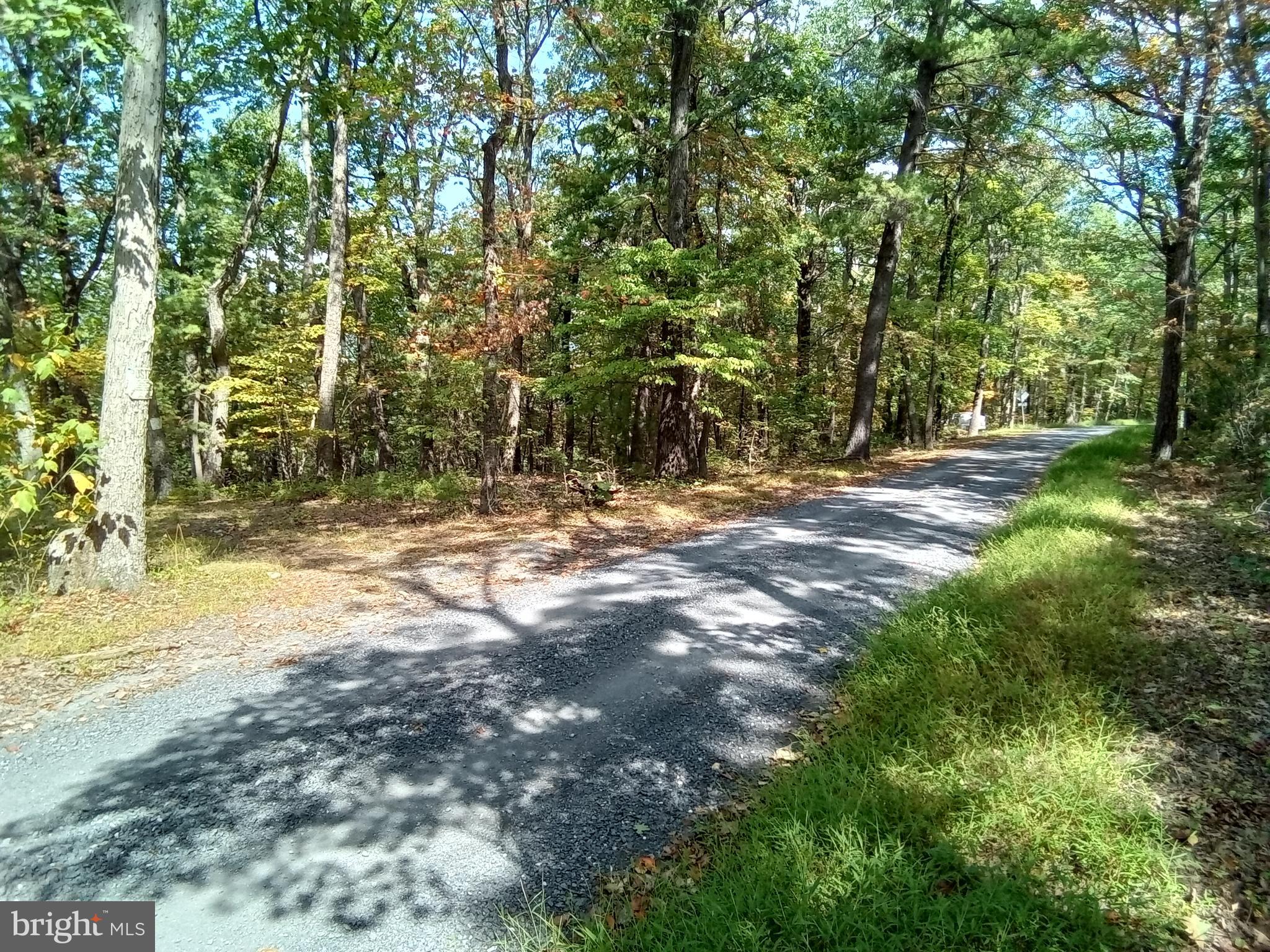 Supinlick Ridge Rd Mount Broadway, VA 22815 - Photo 1 of 30