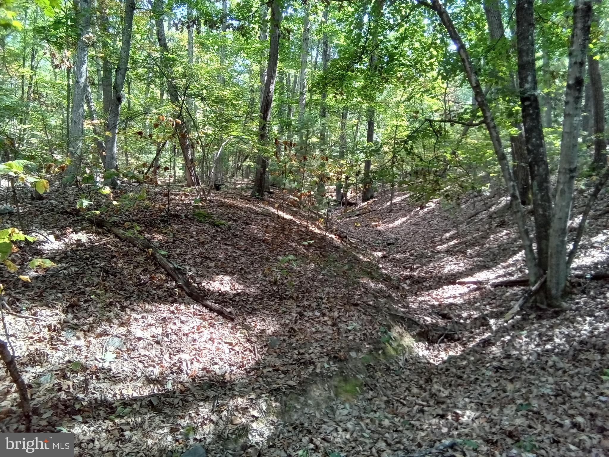 Supinlick Ridge Rd Mount Broadway, VA 22815 - Photo 11 of 30