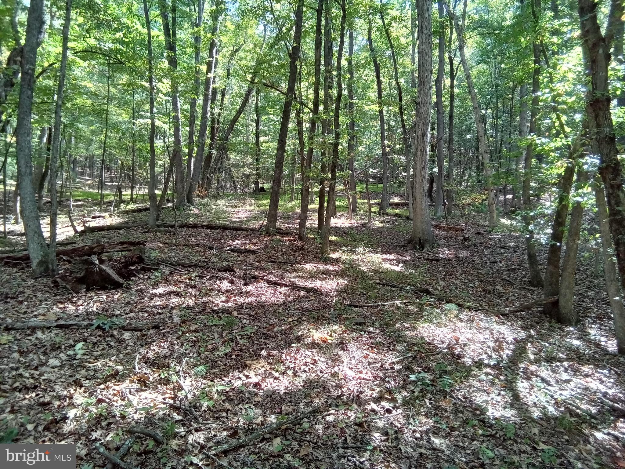 Supinlick Ridge Rd Mount Broadway, VA 22815 - Photo 14 of 30