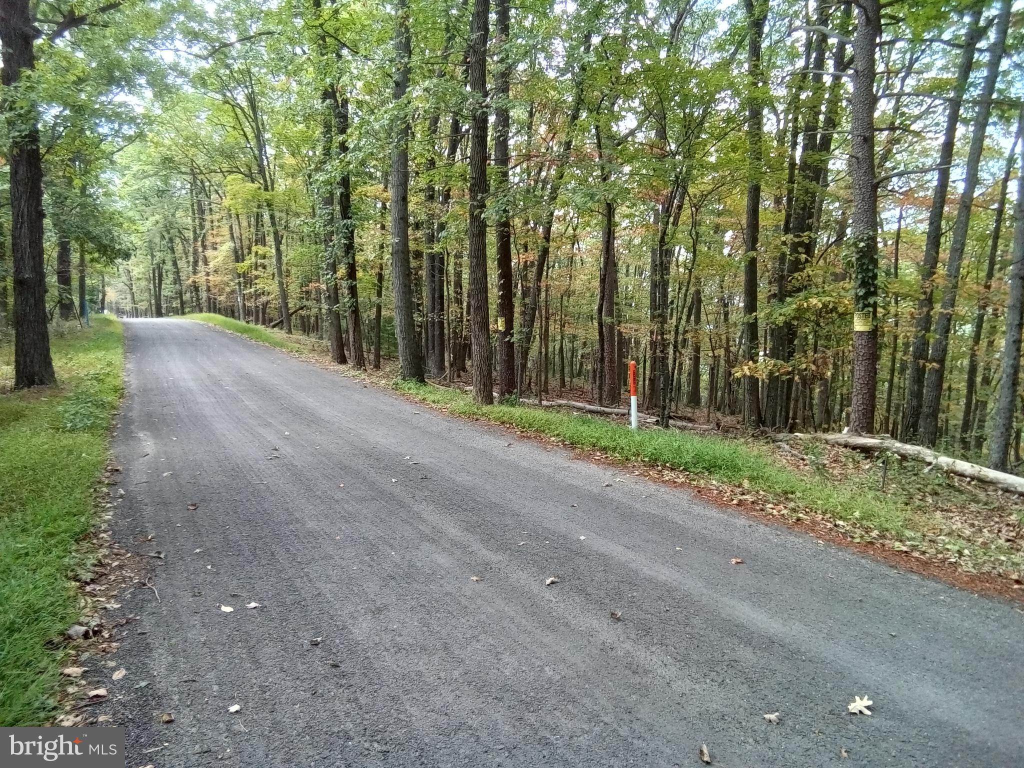 Supinlick Ridge Rd Mount Broadway, VA 22815 - Photo 15 of 30