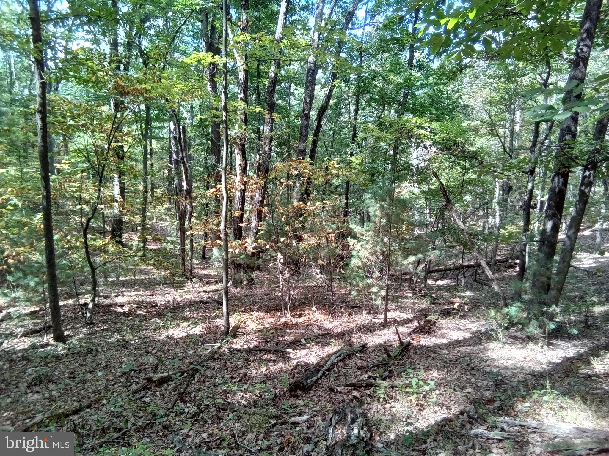 Supinlick Ridge Rd Mount Broadway, VA 22815 - Photo 17 of 30