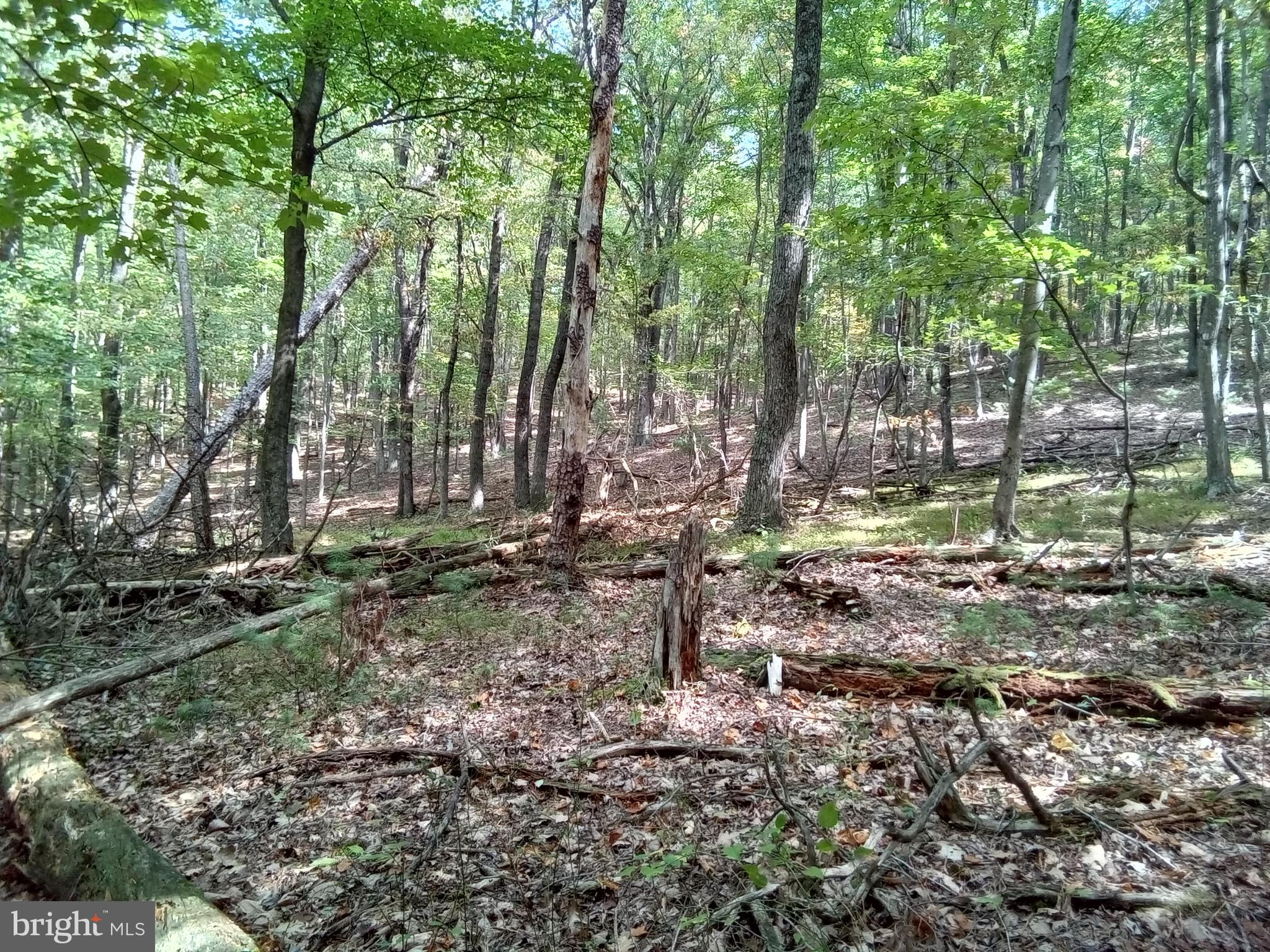 Supinlick Ridge Rd Mount Broadway, VA 22815 - Photo 18 of 30