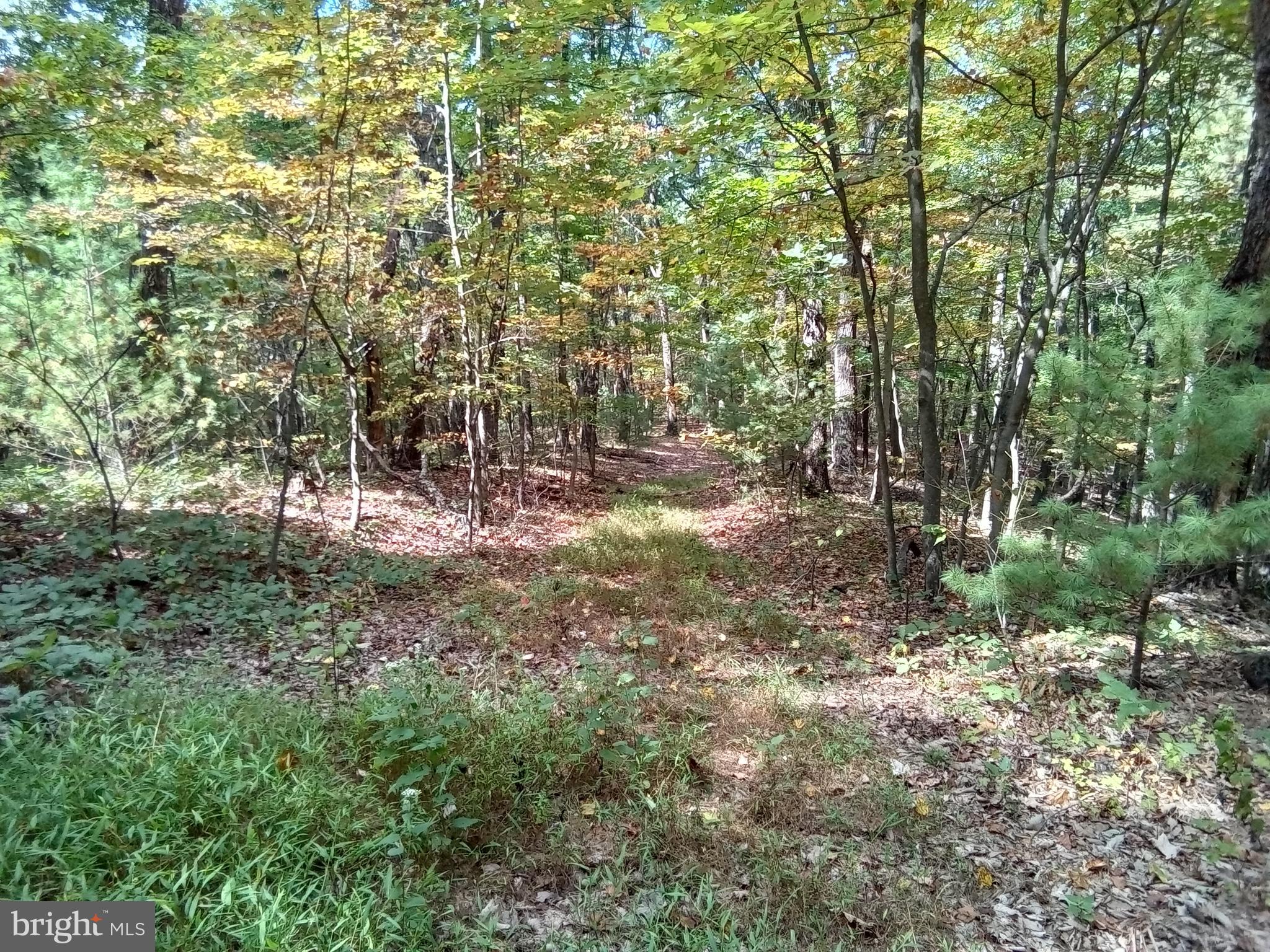Supinlick Ridge Rd Mount Broadway, VA 22815 - Photo 19 of 30