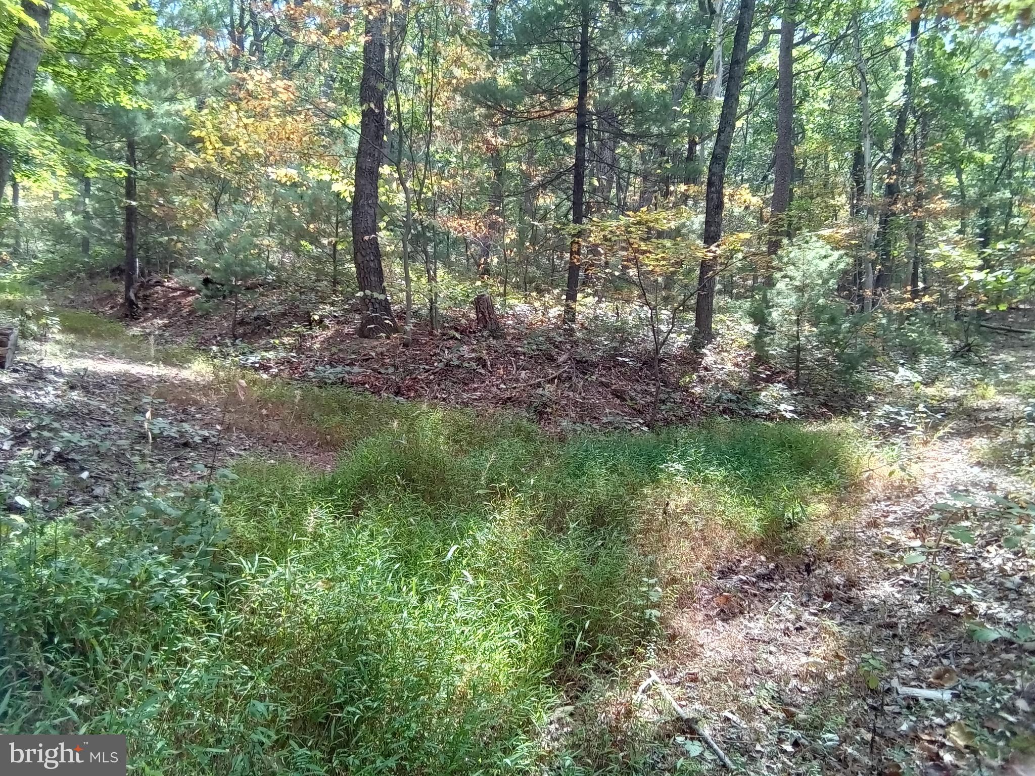Supinlick Ridge Rd Mount Broadway, VA 22815 - Photo 20 of 30