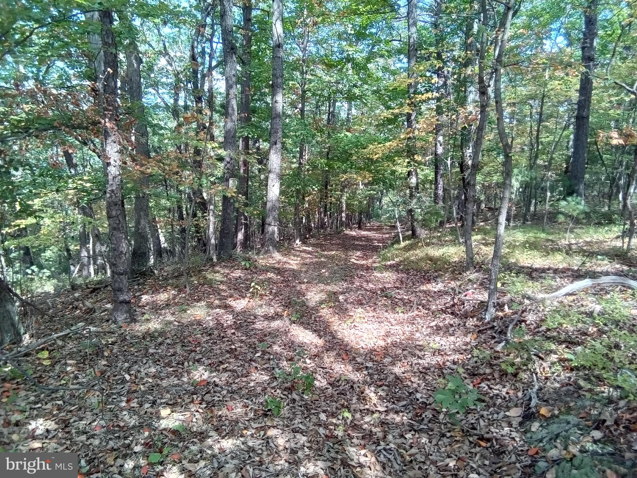 Supinlick Ridge Rd Mount Broadway, VA 22815 - Photo 2 of 30