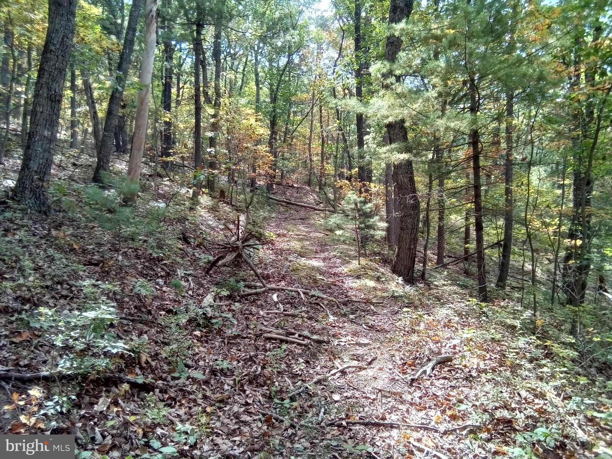 Supinlick Ridge Rd Mount Broadway, VA 22815 - Photo 22 of 30