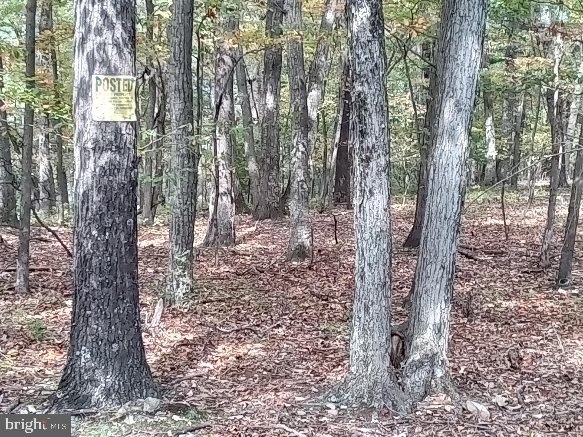 Supinlick Ridge Rd Mount Broadway, VA 22815 - Photo 24 of 30