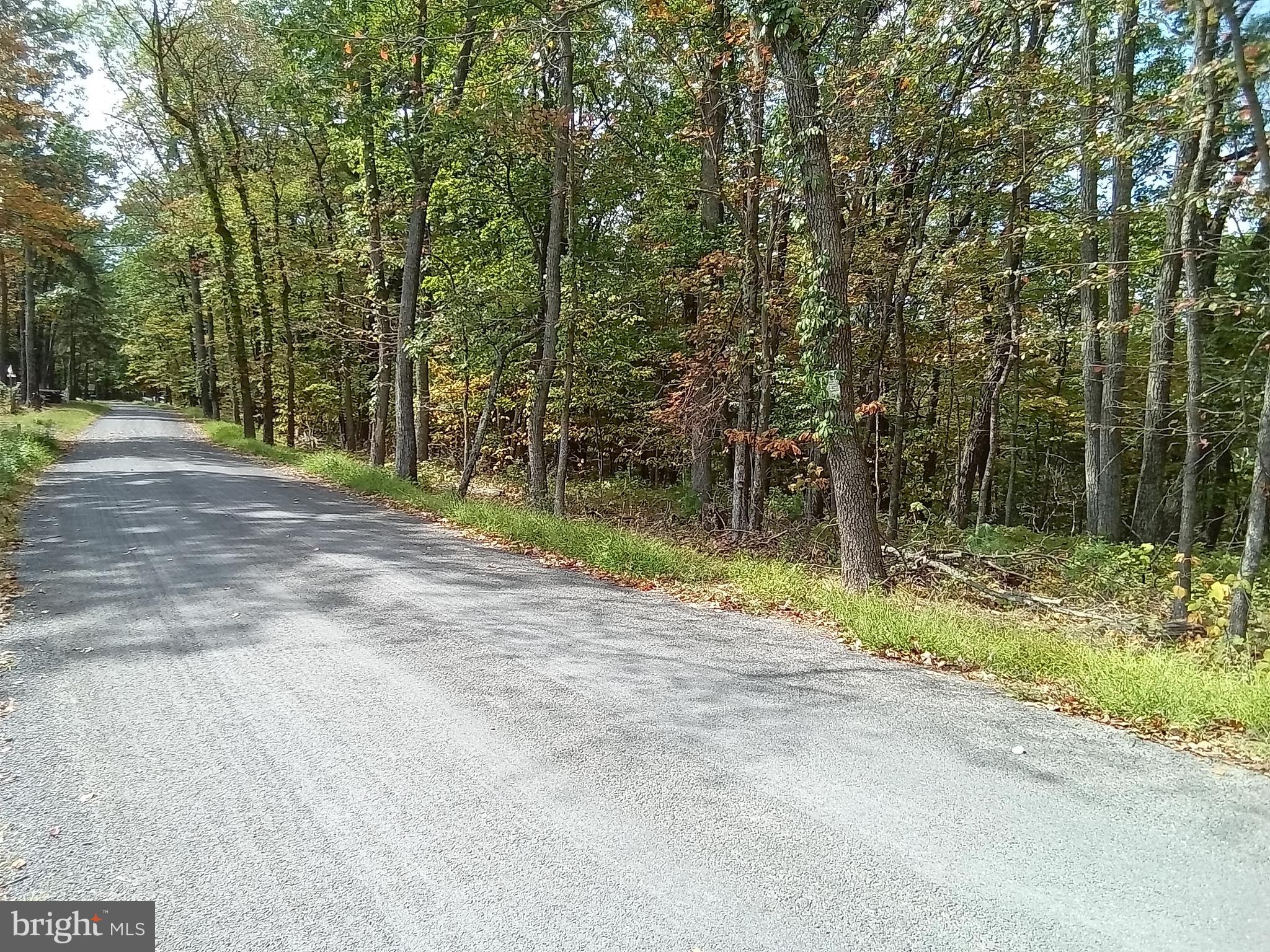 Supinlick Ridge Rd Mount Broadway, VA 22815 - Photo 26 of 30