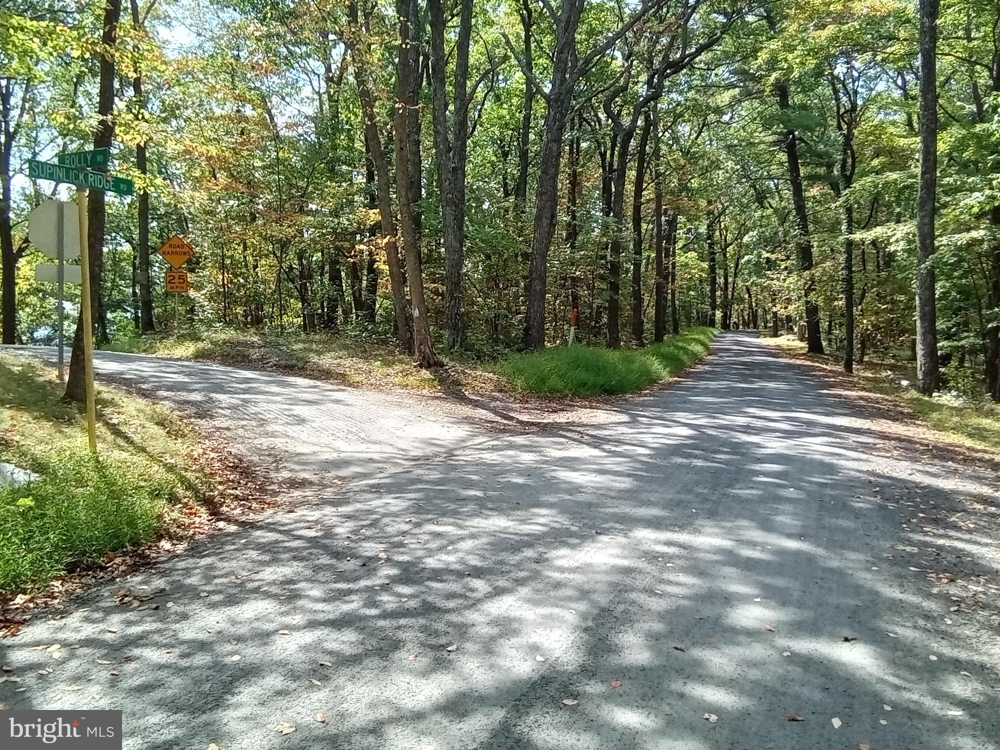 Supinlick Ridge Rd Mount Broadway, VA 22815 - Photo 3 of 30