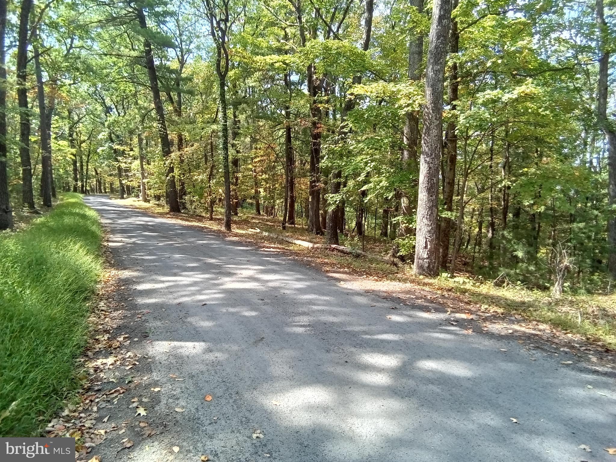 Supinlick Ridge Rd Mount Broadway, VA 22815 - Photo 4 of 30