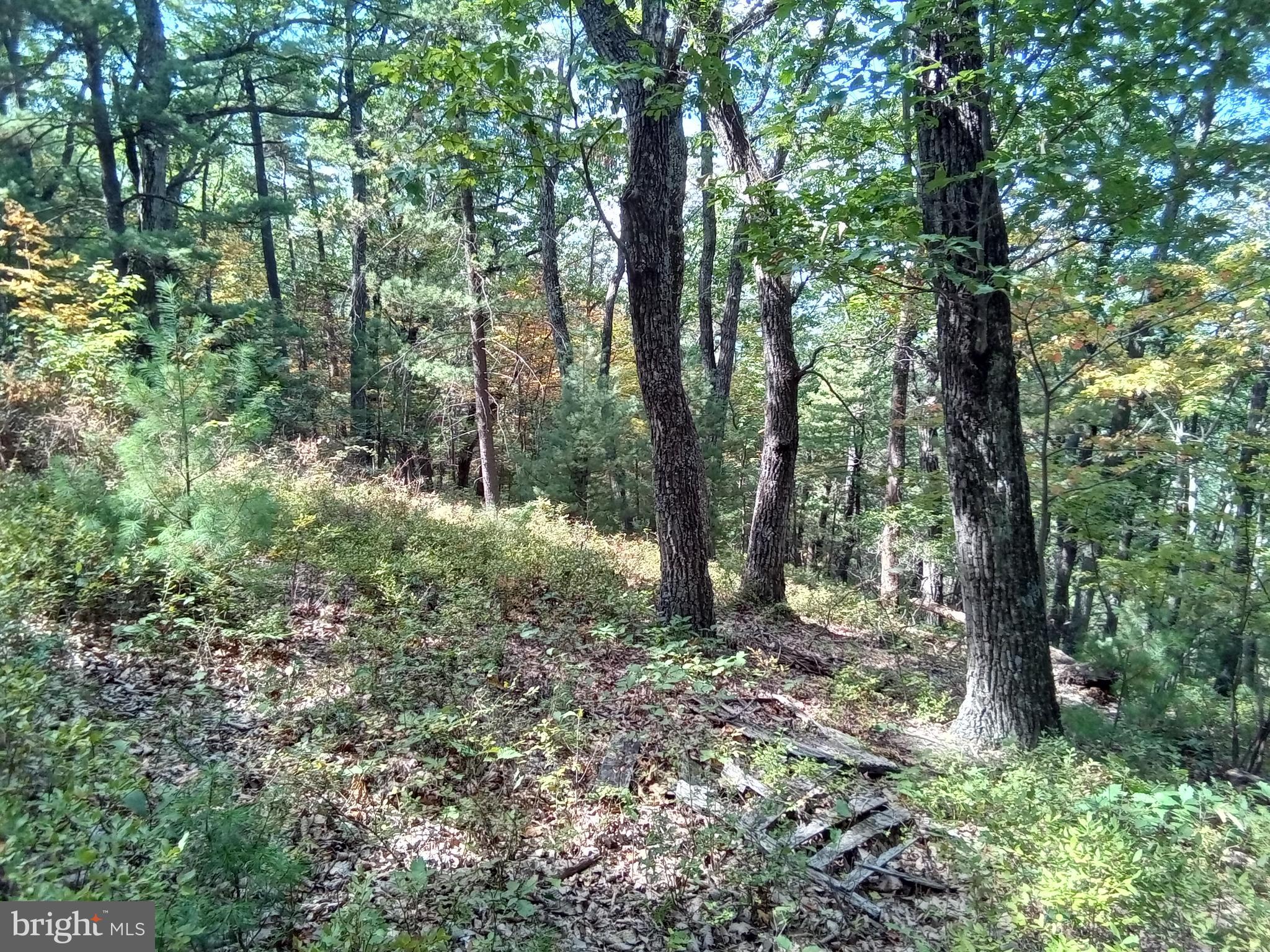 Supinlick Ridge Rd Mount Broadway, VA 22815 - Photo 5 of 30
