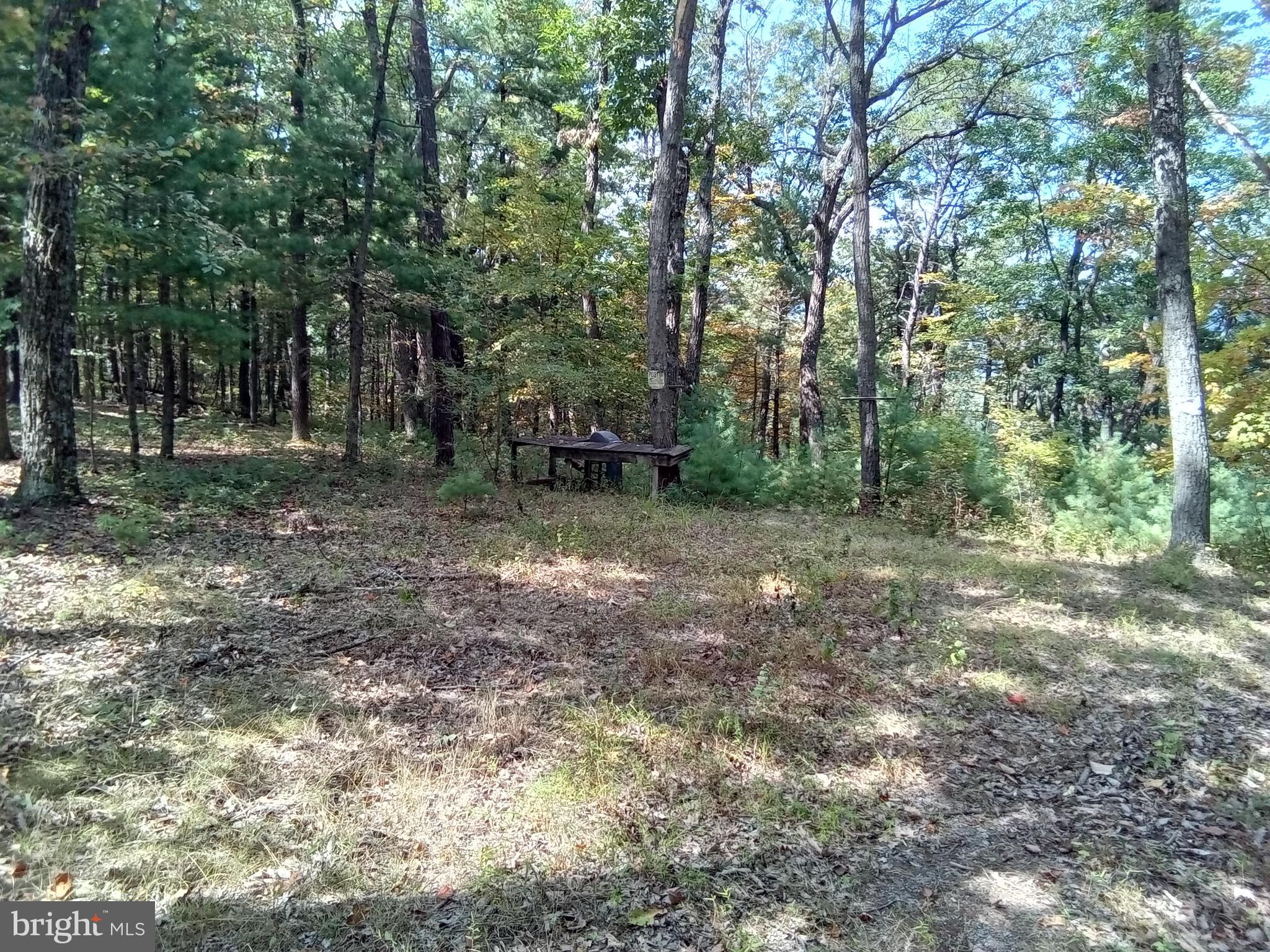 Supinlick Ridge Rd Mount Broadway, VA 22815 - Photo 6 of 30