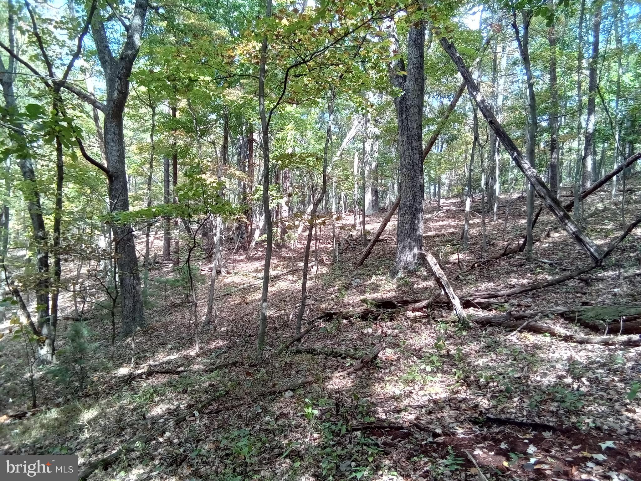 Supinlick Ridge Rd Mount Broadway, VA 22815 - Photo 7 of 30