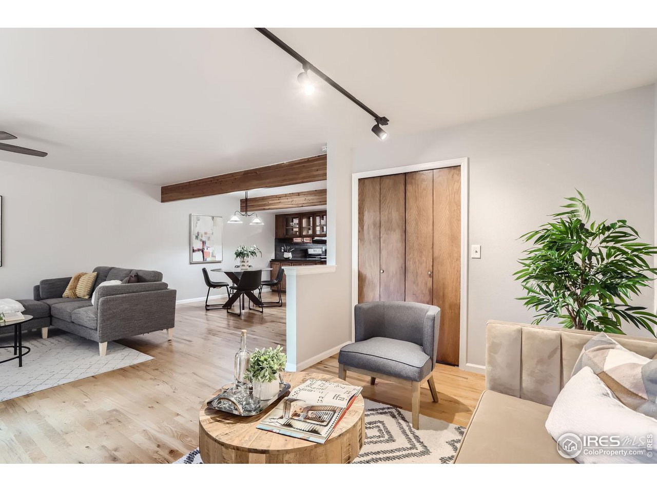3075 Edison Court Boulder, CO 80301 - Photo 7 of 28 a living room with furniture and a potted plant