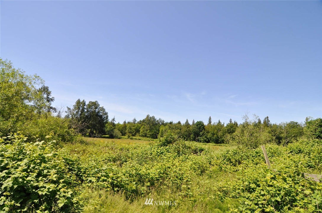 41-xx Loomis Trail Road Blaine, WA 98230 - Photo 11 of 25 Gallery Image 11
