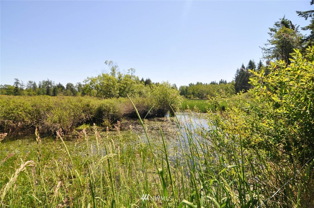 41-xx Loomis Trail Road Blaine, WA 98230 - Photo 21 of 25 Gallery Image 21