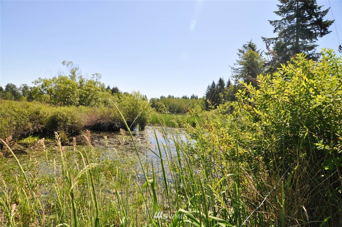 41-xx Loomis Trail Road Blaine, WA 98230 - Photo 22 of 25 Gallery Image 22