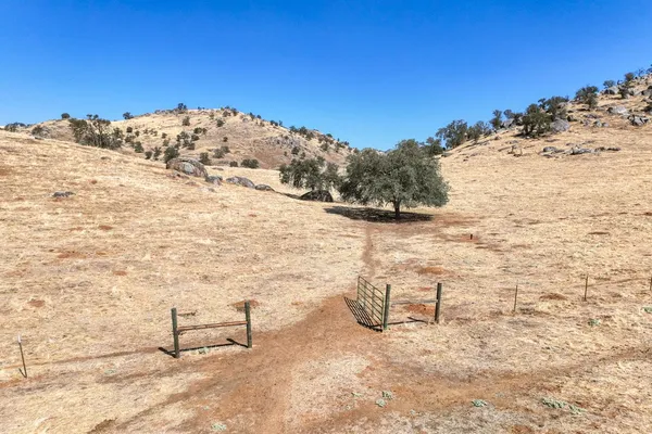 $979,000 | 43008 Dr 152, Orosi, CA 93647