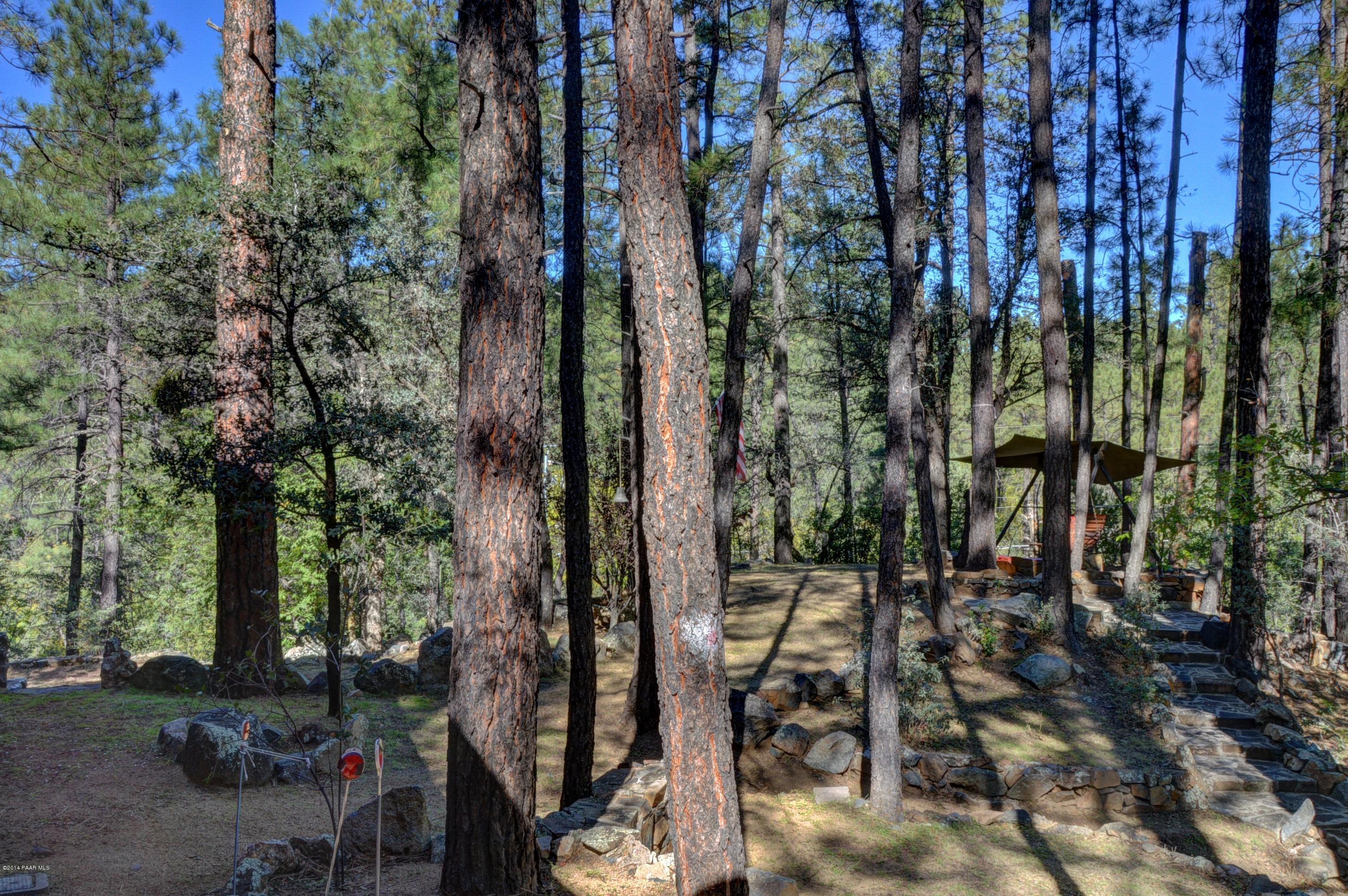 4896 South Libby Loop Road Prescott, AZ 86303 - Photo 7 of 22 Back Yard 3