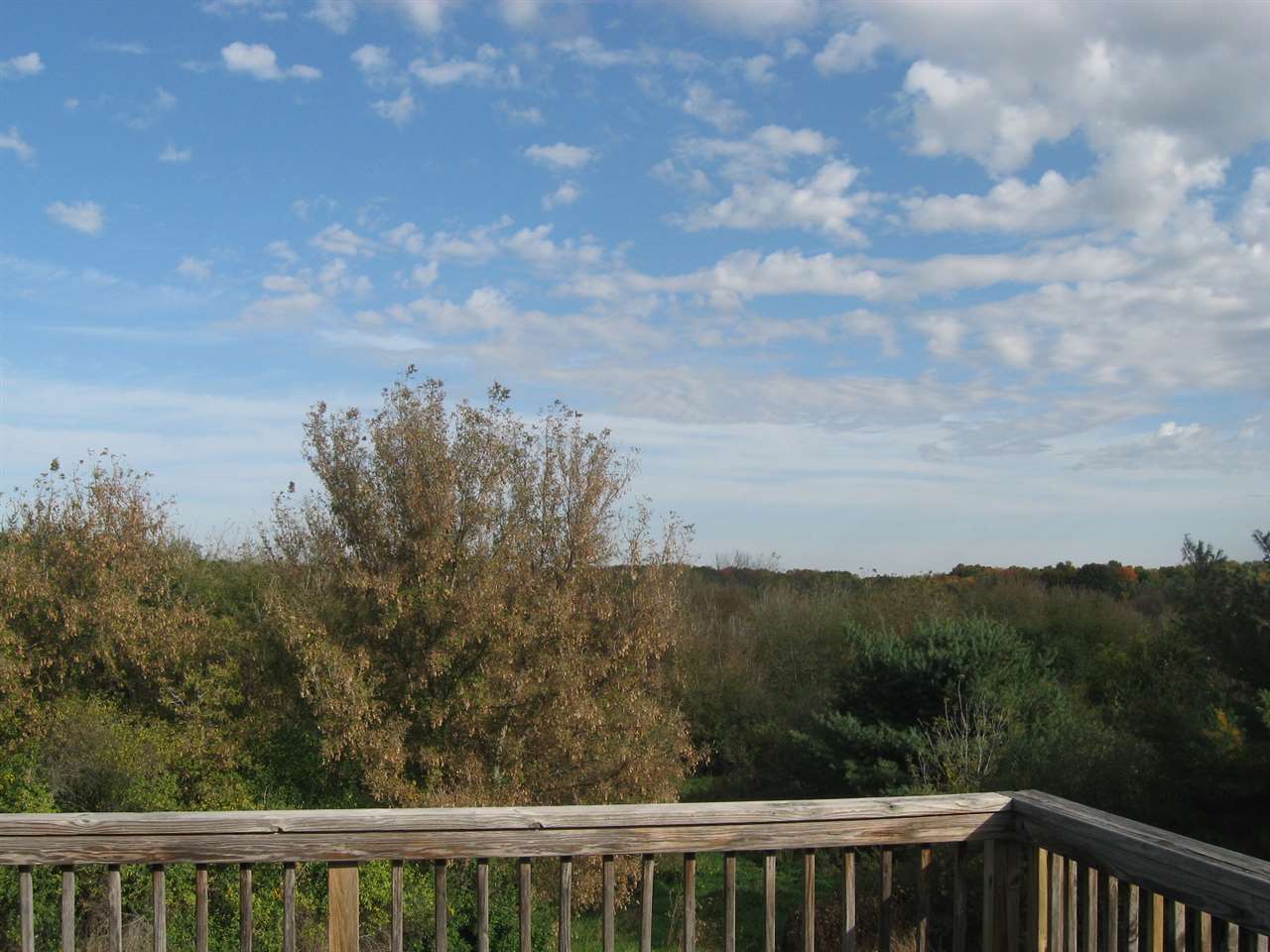 1203 East Blanchard Road Shepherd, MI 48883 - Photo 28 of 35 1798004-27.JPG
