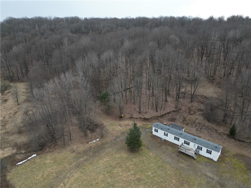 5335 Hog Brook Road Alma, NY 14895 - Photo 2 of 40