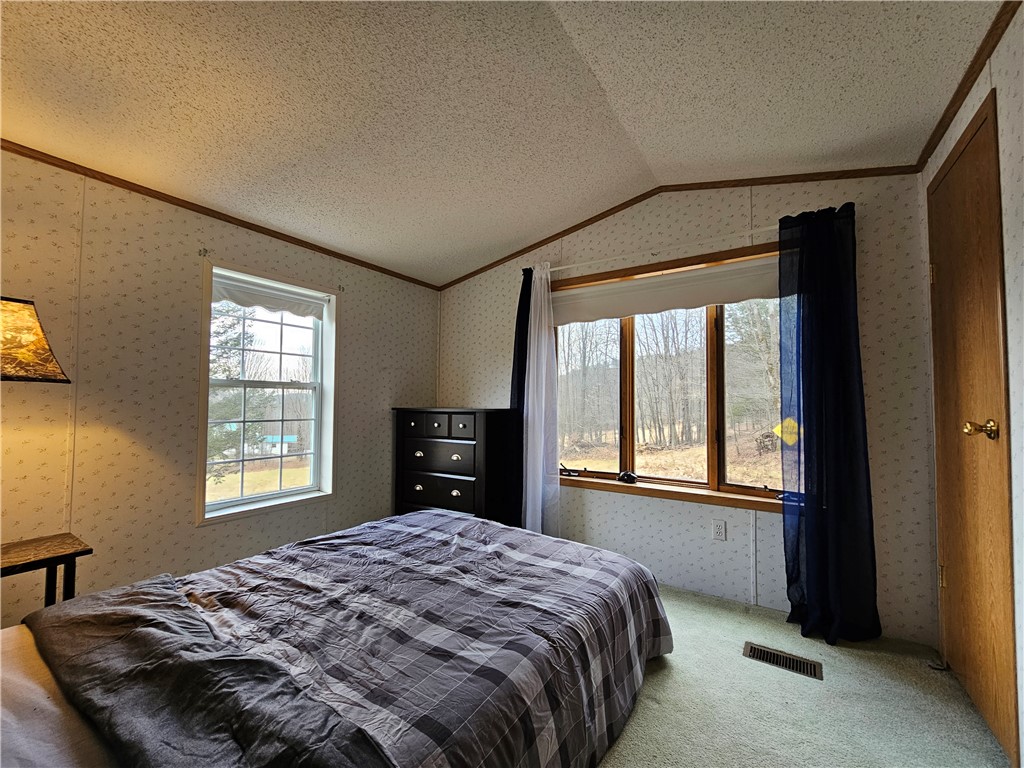 5335 Hog Brook Road Alma, NY 14895 - Photo 24 of 40