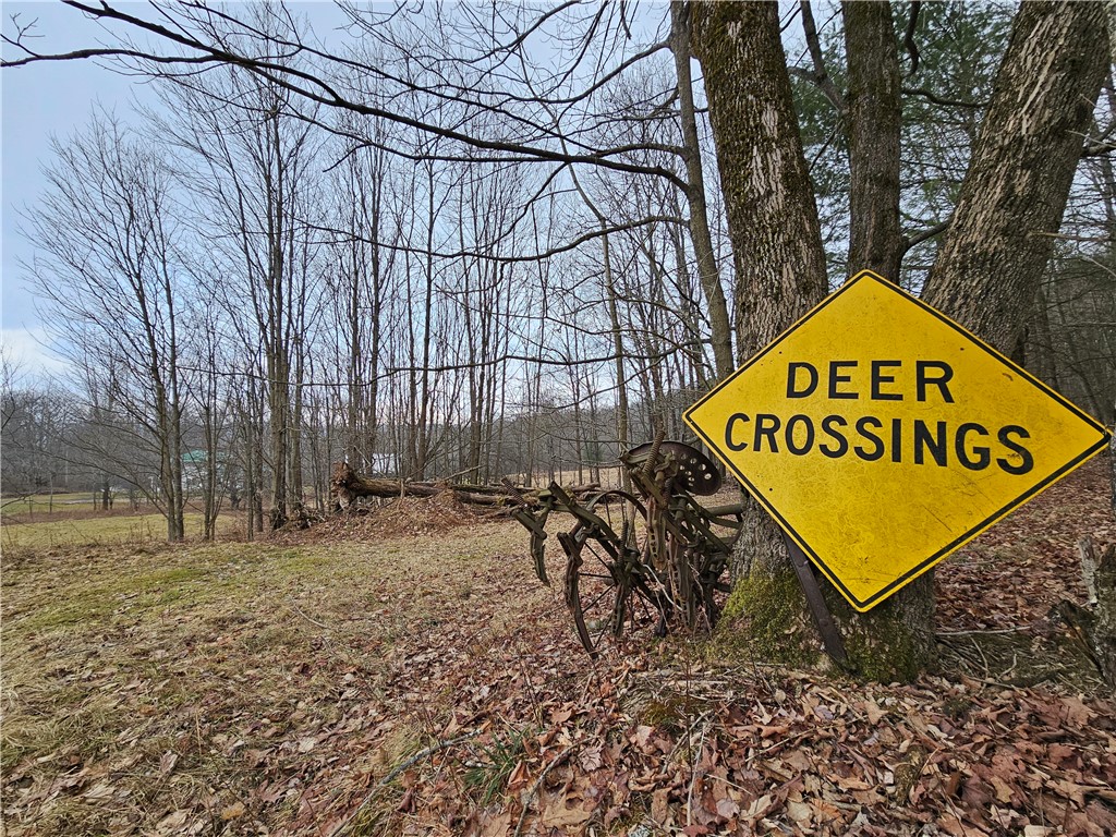 5335 Hog Brook Road Alma, NY 14895 - Photo 27 of 40