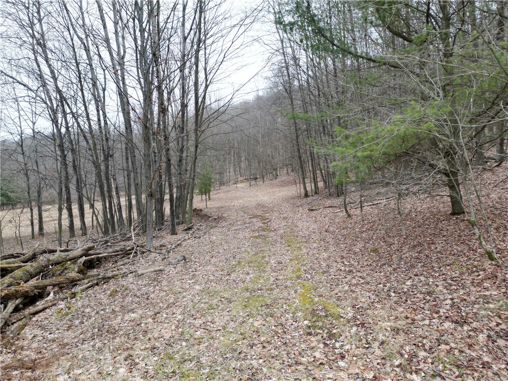 5335 Hog Brook Road Alma, NY 14895 - Photo 28 of 40