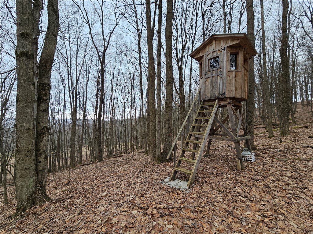 5335 Hog Brook Road Alma, NY 14895 - Photo 29 of 40