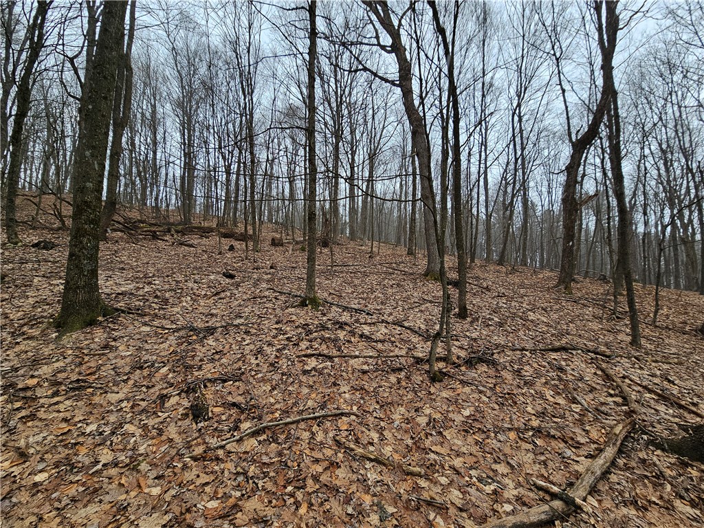 5335 Hog Brook Road Alma, NY 14895 - Photo 30 of 40