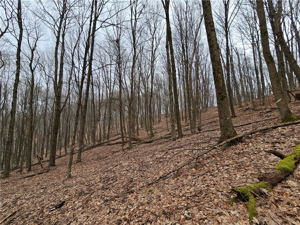 5335 Hog Brook Road Alma, NY 14895 - Photo 31 of 40